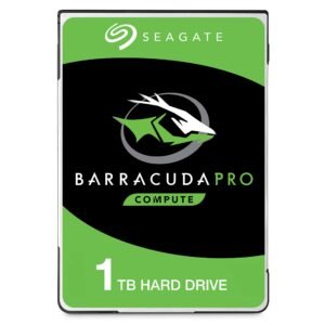 HDD 1T SEAGATE REC